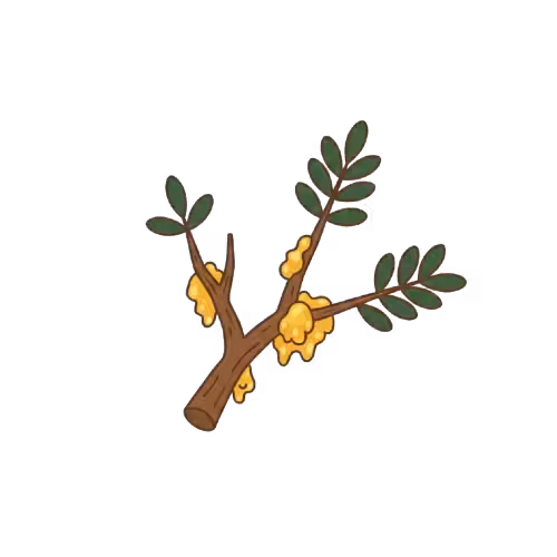 Gemini Generated Image 1ohalv1ohalv1oha removebg preview converted