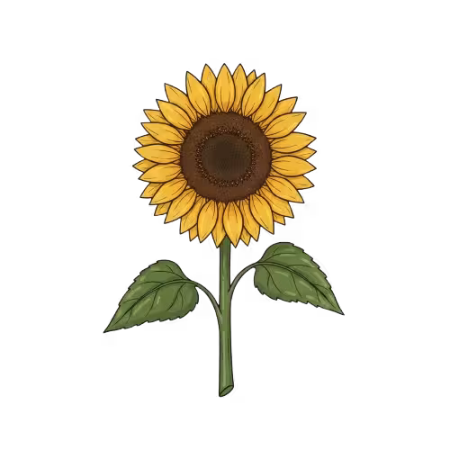 Gemini Generated Image 3m7m5j3m7m5j3m7m removebg preview converted