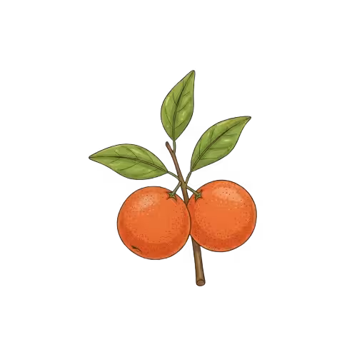 Gemini Generated Image b97nakb97nakb97n removebg preview converted