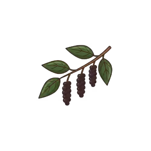 Gemini Generated Image bmsanmbmsanmbmsa removebg preview converted