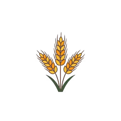 Gemini Generated Image y6vuvly6vuvly6vu removebg preview converted